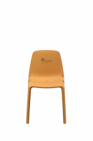 MO103 GELB GARTENSCHAU EDITION MONO