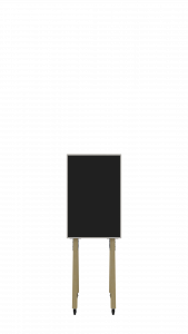 WT108 WHAT IF WE FLY