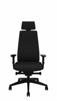 1S38 AIM